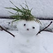 Rose Wilde's photo