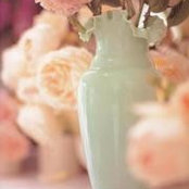 Soha Noor's photo