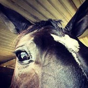 Sabrina Poulos's photo