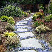 pathways