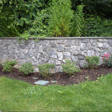 Our Work
