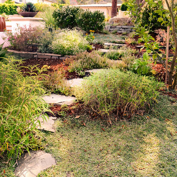 Organic Garden Path