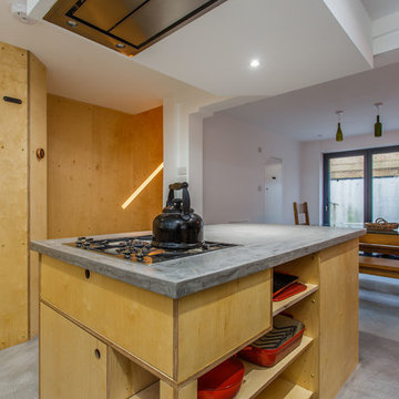 Raw Birch Ply Kitchen