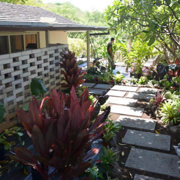 Lush Plants & Stepping Stones