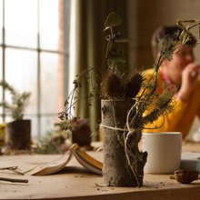 Environmental Design/Garden/sustainable/habitats