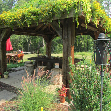 LIVE GREEN ROOF