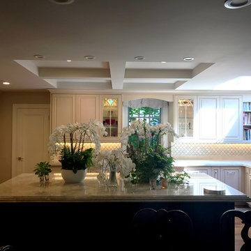 Kitchen Remodel/Renovation