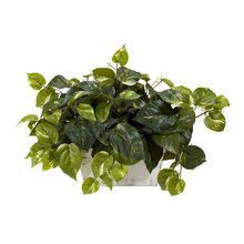 Fake Plants