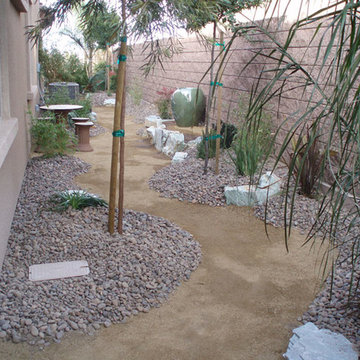 Desert Landscapes