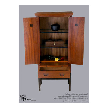 Paduk Cabinet with Wenge stand