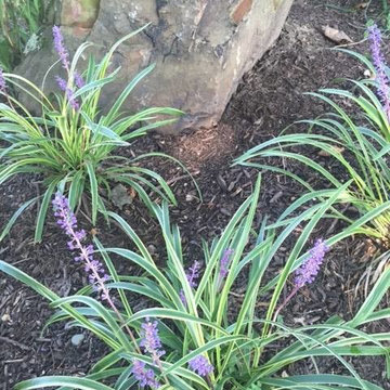 True North Landscaping - Featured Project in Indianapolis