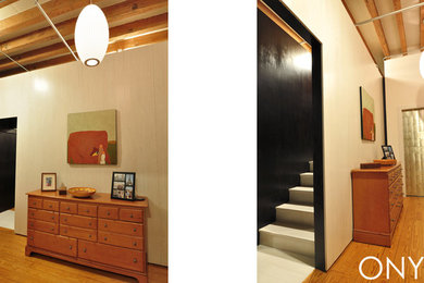 Inspiration for a medium sized modern foyer in Boston with light hardwood flooring.
