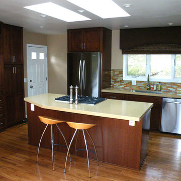 Marin Complete Home Remodel