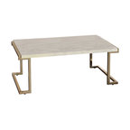 Acme Boice II Coffee Table, Faux Marble and Champagne