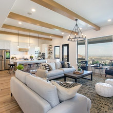 Living Room Decor