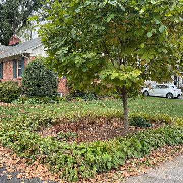Front Yard Revival: Restoring Curbside Elegance with Native Plants and purpose