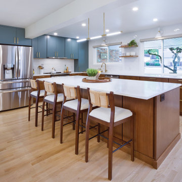 Mid-Century Re-envisioned
