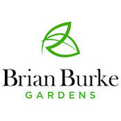 Brian Burke's photo