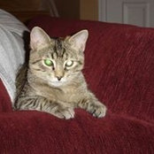 April Brooks's photo