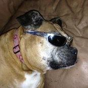 Nancy Derusha's photo