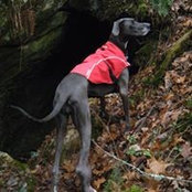 Joanne Schnebelen's photo