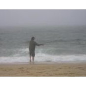 Harry Brouwer's photo