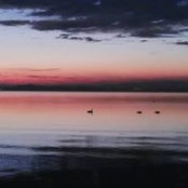 Andreas Kaltenmarkner's photo