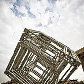 Sally Haroun's photo