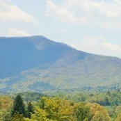 Colleen Phifer's photo