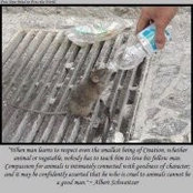 Sabrina Phelps's photo