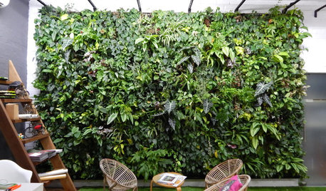How Do I... Add Greenery Indoors Without Being Good at Gardening?