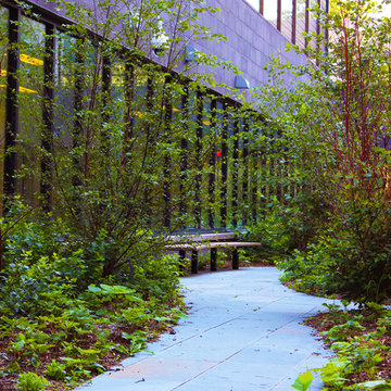 QUEENS NY - PUBLIC SCHOOL 315