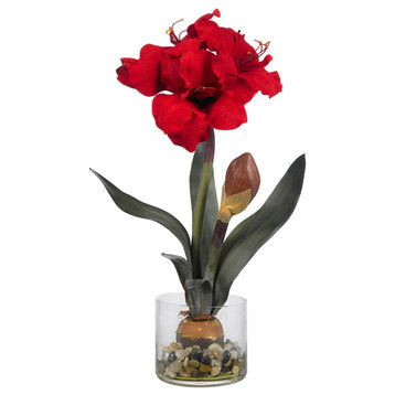 Amaryllis With Round Vase