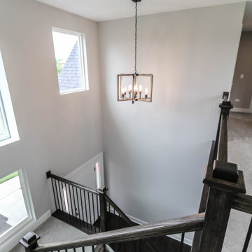 Modified Laguna I | Reserves of Dunmoor Estates Plainfield, IL