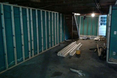 Basement Remodel
