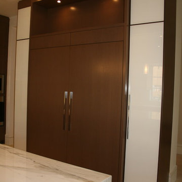Glass Cabinet Doors using white back painted glass