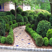 Greensboro Garden