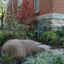 Landscape Ideas - Beds