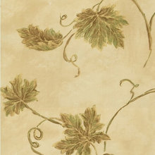 kitchen cabinet background