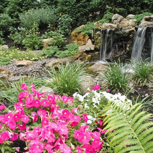 waterfall