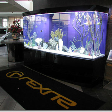 A portfolio of custom aquariums from our 17+ year history.