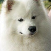 Barbara Davidoff's photo