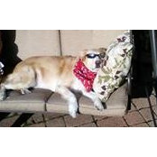 Carol Ernst-Cox's photo