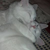 Aimee Stokes's photo