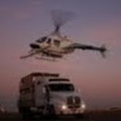 Anthony Root's photo