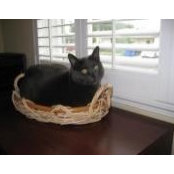 Cathy Strouse's photo