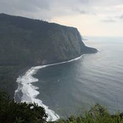 Barbara Swanson's photo