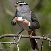 Brian Bingham's photo