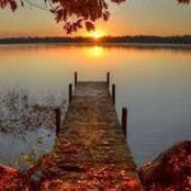 Sandi Adams's photo