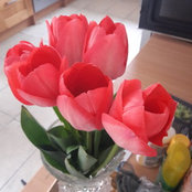 Angie's photo